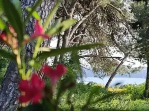 Prodej rodinného domu, Medulin, Chorvatsko, 160 m2