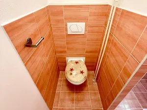 Pronájem bytu 1+kk, Ostrava, nábřeží Svazu protifašistických bojovníků, 39 m2