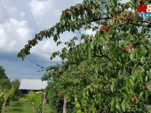 Prodej zahrady, Nový Šaldorf-Sedlešovice - Nový Šaldorf, 898 m2