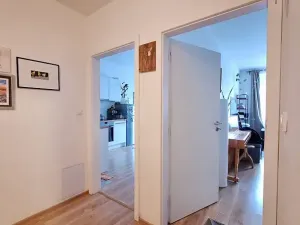 Pronájem bytu 2+kk, Praha, Rybalkova, 55 m2