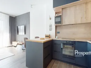 Pronájem bytu 2+kk, Teplice, Novoveská, 47 m2