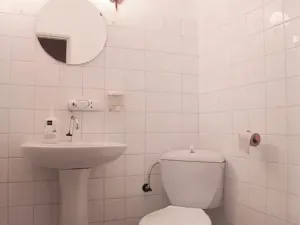 Pronájem rodinného domu, Nový Jičín, Jeremenkova, 140 m2