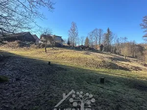 Prodej louky, Bozkov, 5815 m2