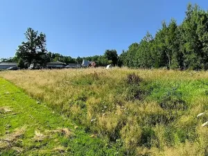 Prodej pozemku pro bydlení, Pomezí nad Ohří, 1343 m2