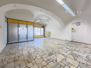 Prodej rodinného domu, Veselí nad Lužnicí, náměstí T. G. Masaryka, 570 m2