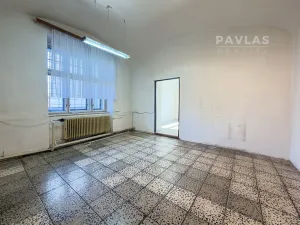 Prodej vícegeneračního domu, Veselí nad Lužnicí, náměstí T. G. Masaryka, 570 m2