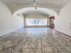 Prodej vícegeneračního domu, Veselí nad Lužnicí, náměstí T. G. Masaryka, 570 m2