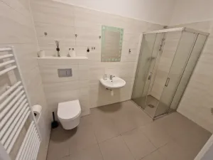 Pronájem bytu 1+1, Ostrava - Moravská Ostrava, Pohraniční, 30 m2