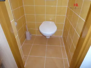 Pronájem bytu 3+1, Benešov, M. Kudeříkové, 56 m2