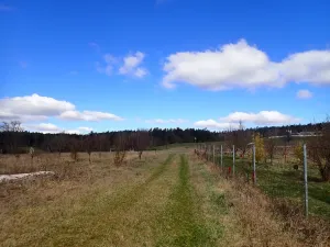 Prodej chaty, Velká Chmelištná, 39 m2