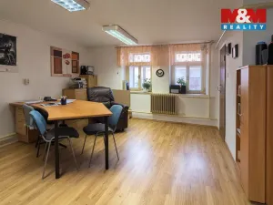 Pronájem rodinného domu, Tisová, 480 m2
