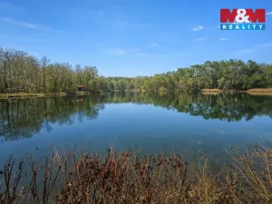 Prodej chaty, Loučeň - Patřín, 18 m2