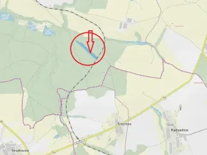 Prodej podílu lesa, Ledenice, 2894 m2