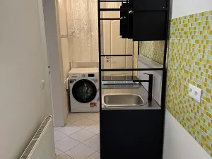 Pronájem bytu 2+kk, Praha - Vinohrady, Přemyslovská, 50 m2