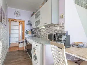 Prodej bytu 2+1, Prostějov, Libušinka, 53 m2