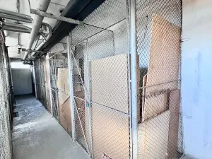 Pronájem bytu 2+1, Děčín, Severní, 50 m2