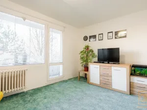 Prodej bytu 3+1, Brno, Štefáčkova, 68 m2