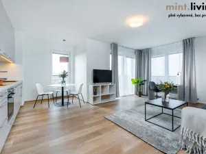 Pronájem bytu 2+kk, Plzeň - Skvrňany, Františka Kováříka, 61 m2