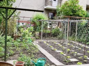 Pronájem bytu 2+1, Brno - Černá Pole, Tišnovská, 41 m2