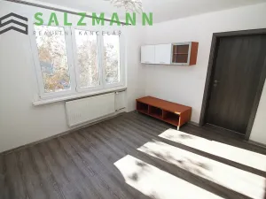 Pronájem bytu 3+kk, Plzeň, Rokycanská, 54 m2
