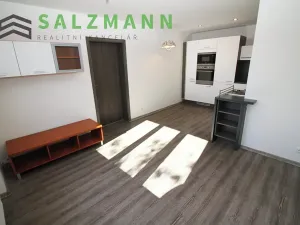 Pronájem bytu 3+kk, Plzeň, Rokycanská, 54 m2