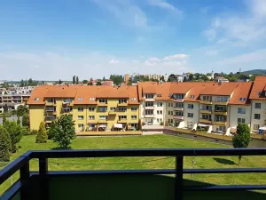 Pronájem bytu 1+kk, Nový Jičín, B. Martinů, 28 m2