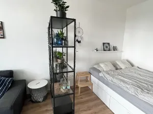 Prodej bytu 1+1, Ostrava, Opavská, 35 m2