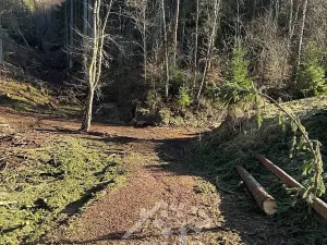 Prodej louky, Bozkov, 14441 m2