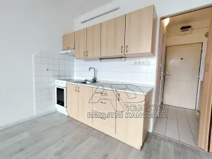 Pronájem bytu 1+kk, České Budějovice, Fr. Ondříčka, 23 m2