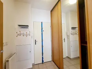 Pronájem bytu 1+kk, Brno, Živného, 34 m2
