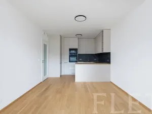 Pronájem bytu 2+kk, Praha - Smíchov, Luciana Blagy, 55 m2