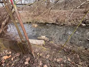 Prodej zahrady, Hodkovice nad Mohelkou, Rychnovská, 341 m2