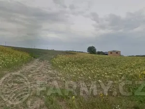 Prodej pole, Kyjov, 69892 m2