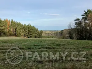 Prodej pole, Planá, 21513 m2