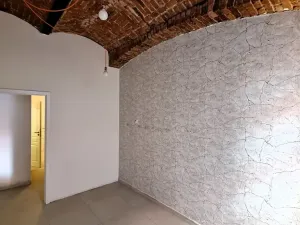 Dražba obchodního prostoru, Praha - Nové Město, Příčná, 70 m2
