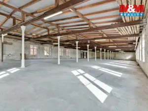 Pronájem výrobních prostor, Višňová - Poustka, 884 m2