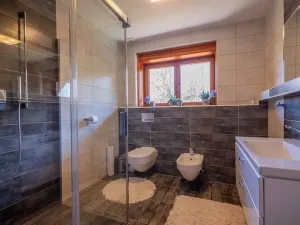 Prodej rodinného domu, Dolní Lomná, 1559 m2