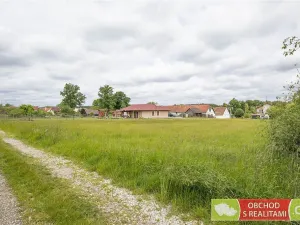 Prodej pozemku, Dírná, 2984 m2