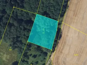 Prodej lesa, Brodek u Konice, 4676 m2