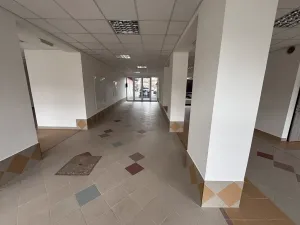 Pronájem obchodního prostoru, Jeseník, nám. Svobody, 232 m2