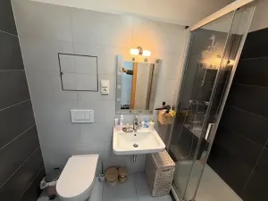 Pronájem bytu 1+kk, Jihlava, Vrchlického, 33 m2