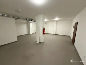 Pronájem skladu, Praha - Libeň, Pod plynojemem, 55 m2