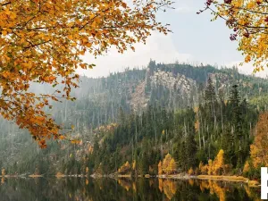 Prodej pozemku pro bydlení, Horní Planá, 842 m2