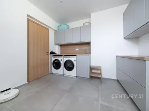 Prodej vícegeneračního domu, Praha - Malešice, Dubského, 321 m2