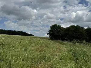 Prodej podílu pole, Suchdol, 4916 m2