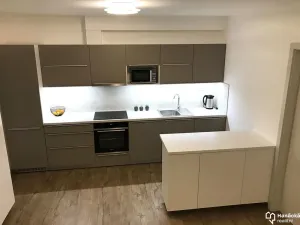 Pronájem bytu 1+kk, Olomouc, Dolní novosadská, 43 m2