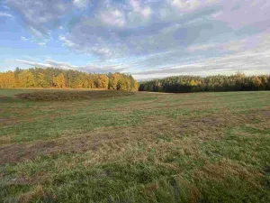 Prodej pole, Cvikov - Trávník, 7470 m2