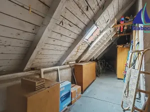 Prodej rodinného domu, Mladá Boleslav, Dvořákova, 240 m2