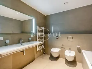 Pronájem bytu 2+kk, Praha, Holečkova, 78 m2