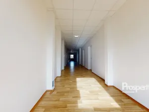 Pronájem kanceláře, Ústí nad Labem - Ústí nad Labem-centrum, Bělehradská, 34 m2